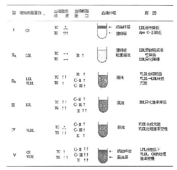 人高脂血症分型及其特征