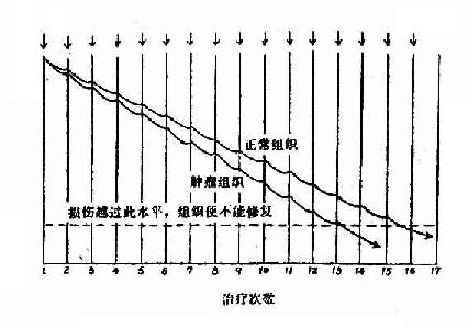 放射损伤示意图