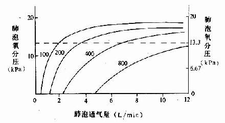 不同氧耗量时肺泡通气量与肺泡氧分压的关系 