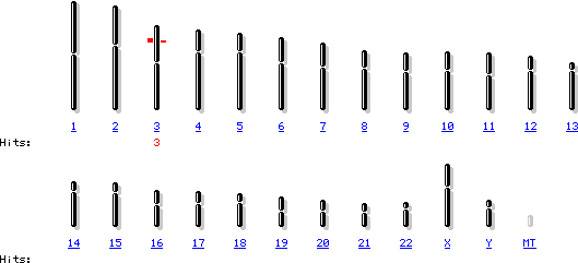 在第3条染色体上MHL1基因表达