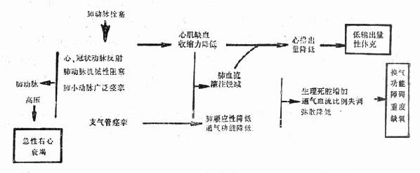 肺动脉栓塞的病理生理