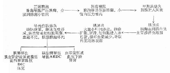 急性胰腺炎发病机理