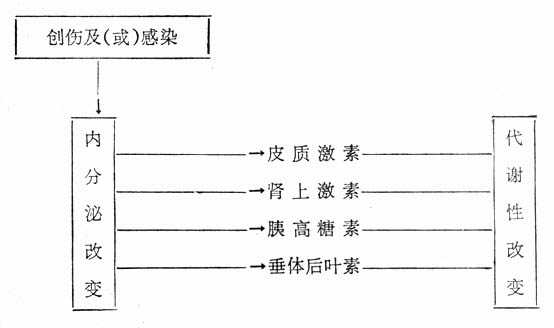 内分泌－代谢性改变的关系