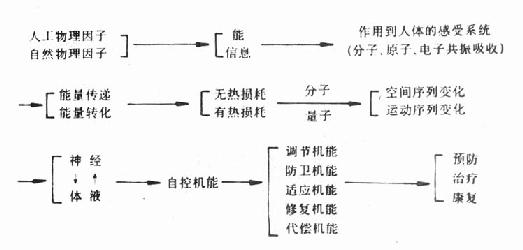 物理因子对机体作用机制