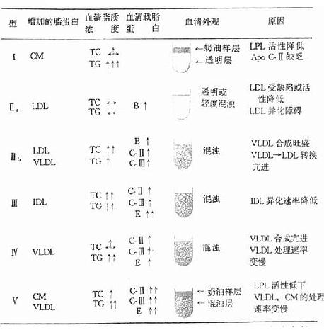 人高脂蛋白血症分型及其特征