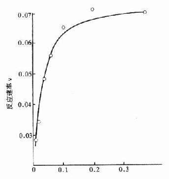 底物浓度对酶反应的影响
