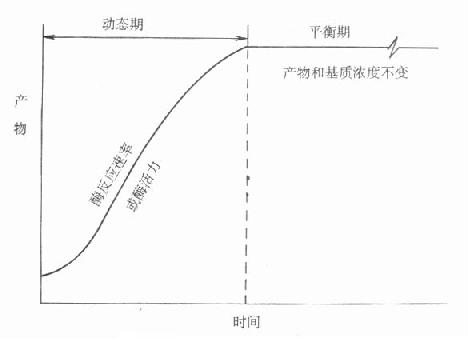 动态和平衡概念的示意图