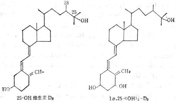 （OH）D3及1a；25（OH）2D3的结构式