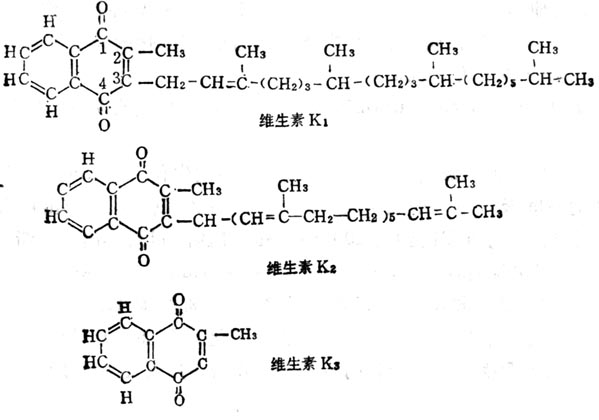 维生素K1、K2、K3的结构式 