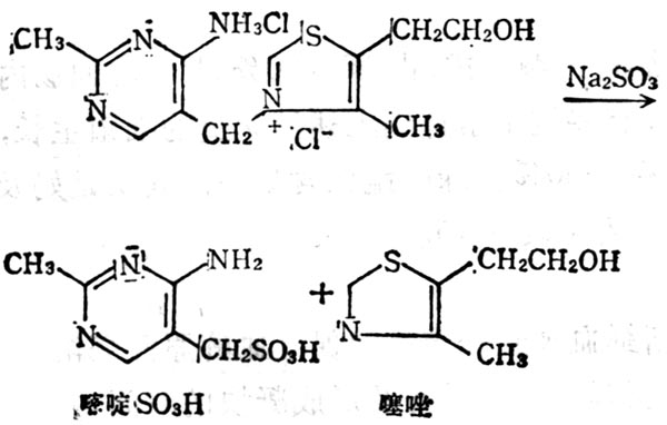 维生素B1经Na2SO3分解为嘧啶和噻唑 