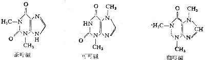 茶叶碱、可可碱和咖啡碱的结构 