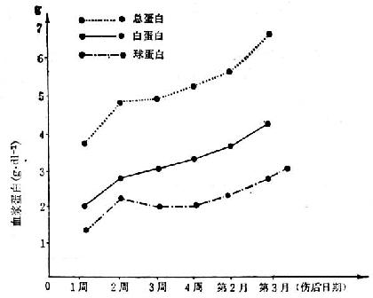 15例（烧伤面积70～90/Ⅲ°40～90%）烧伤后血浆蛋白的变化 