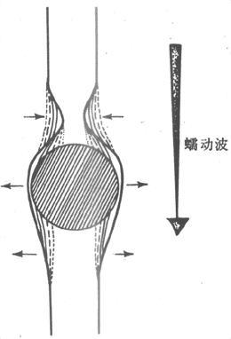 食管蠕动的模式图