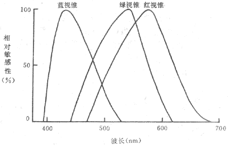 人视网膜中三种不同视锥细胞的光谱相对敏感性