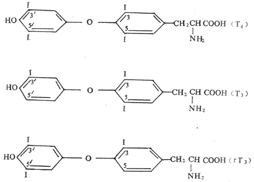 甲状腺激素有化学结构