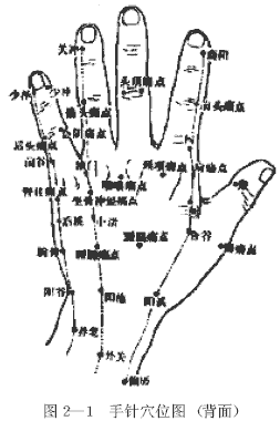 手针穴位图（背面）