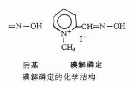 碘解磷定复活胆碱酯酶过程示意图