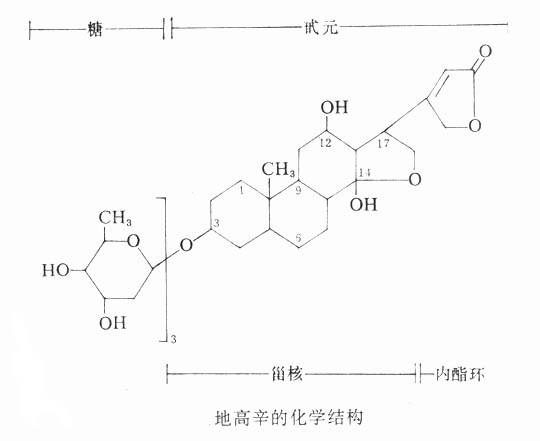 强心甙