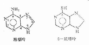 6-颈嘌呤