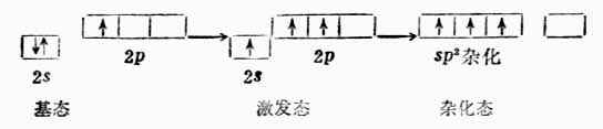 BF分子构成