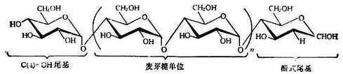 糖淀粉的结构