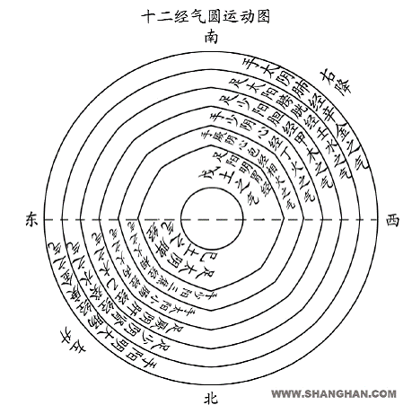 十二经圆运动图