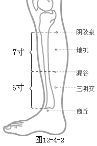 足太阴脾经穴