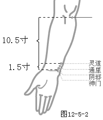 手少阴心经经穴