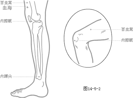 奇穴下肢穴