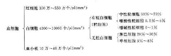 血细胞分类和计数的正常值