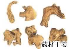 干姜:点击看原图 干姜