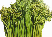 龙爪菜:点击看原图 龙爪菜