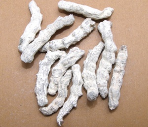 僵蚕的功效与作用