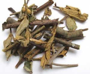 蜜桶花:点击看原图 蜜桶花
